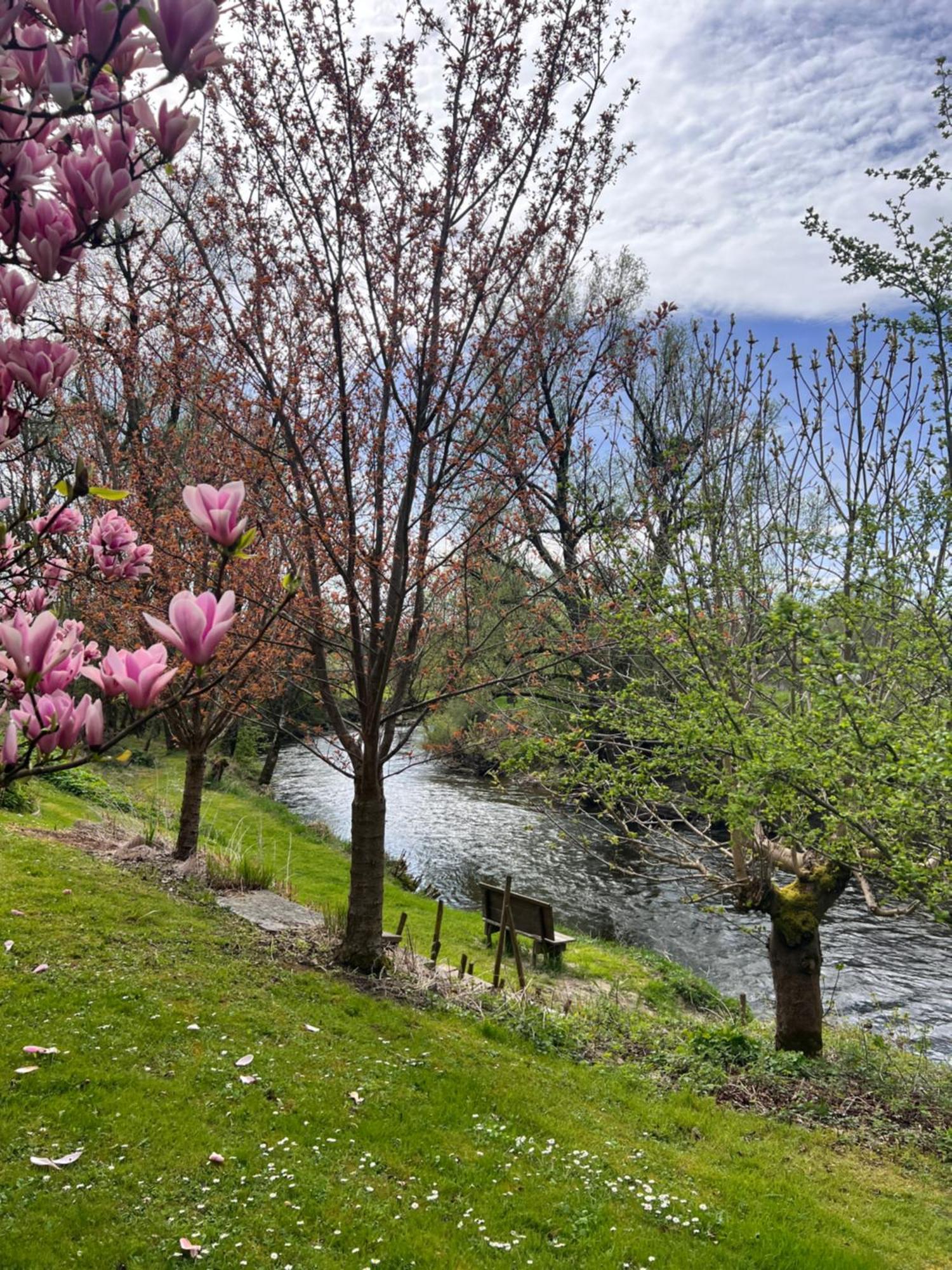 Am Flussgarten Еріскірх Екстер'єр фото