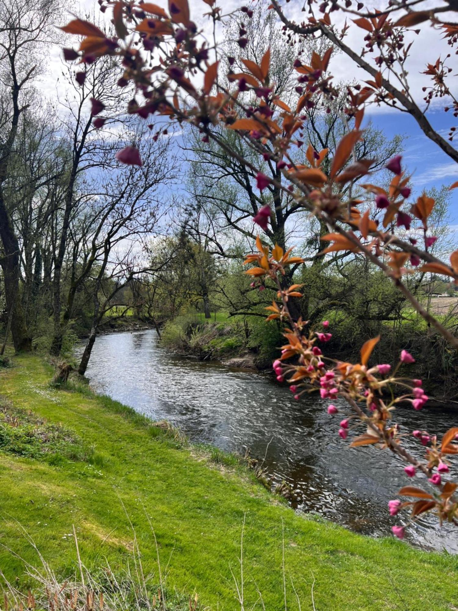 Am Flussgarten Еріскірх Екстер'єр фото