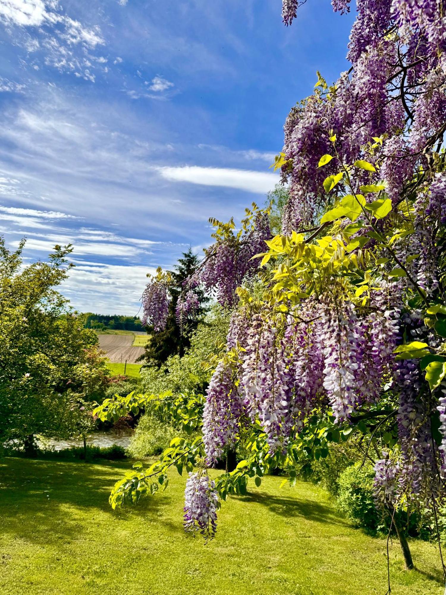 Am Flussgarten Еріскірх Екстер'єр фото