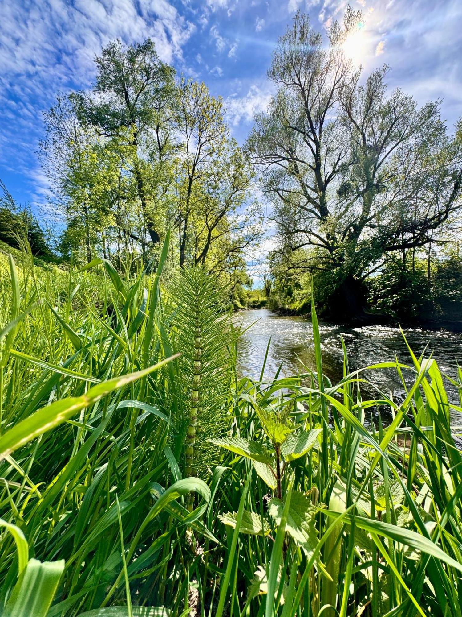 Am Flussgarten Еріскірх Екстер'єр фото